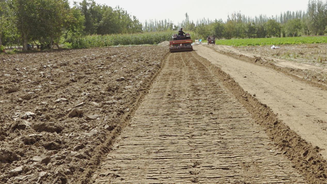 9d01837ef123176a7c346e578439bc1c