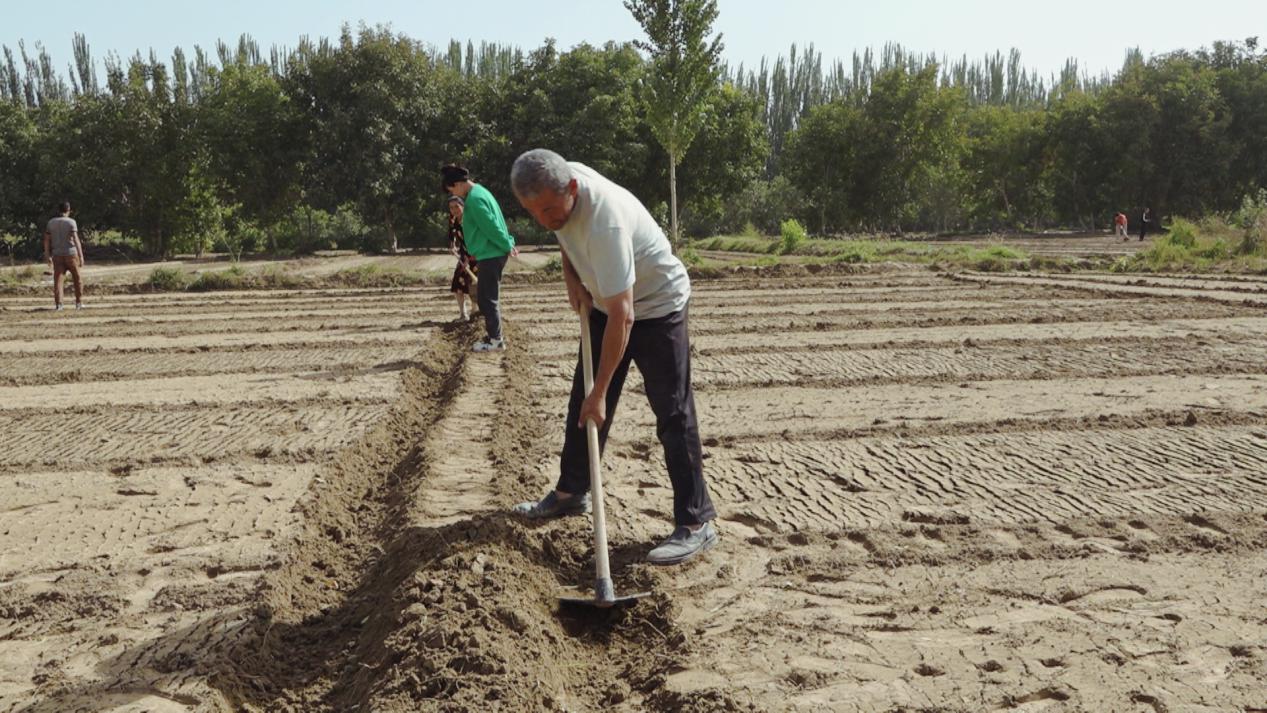 281b2a23734aa22e76c46c06381c0584