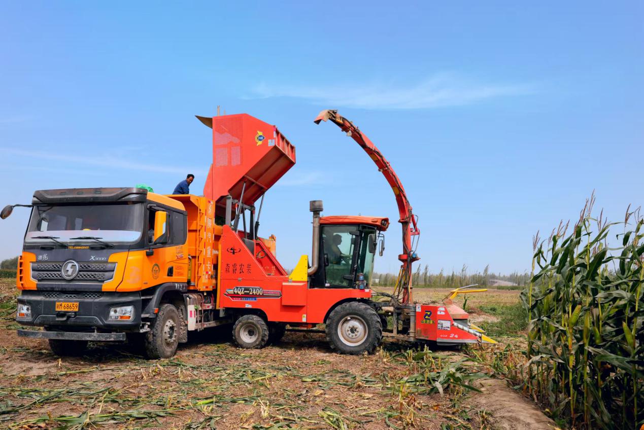 6e2e3ce47df126ee35f35622c5fec13