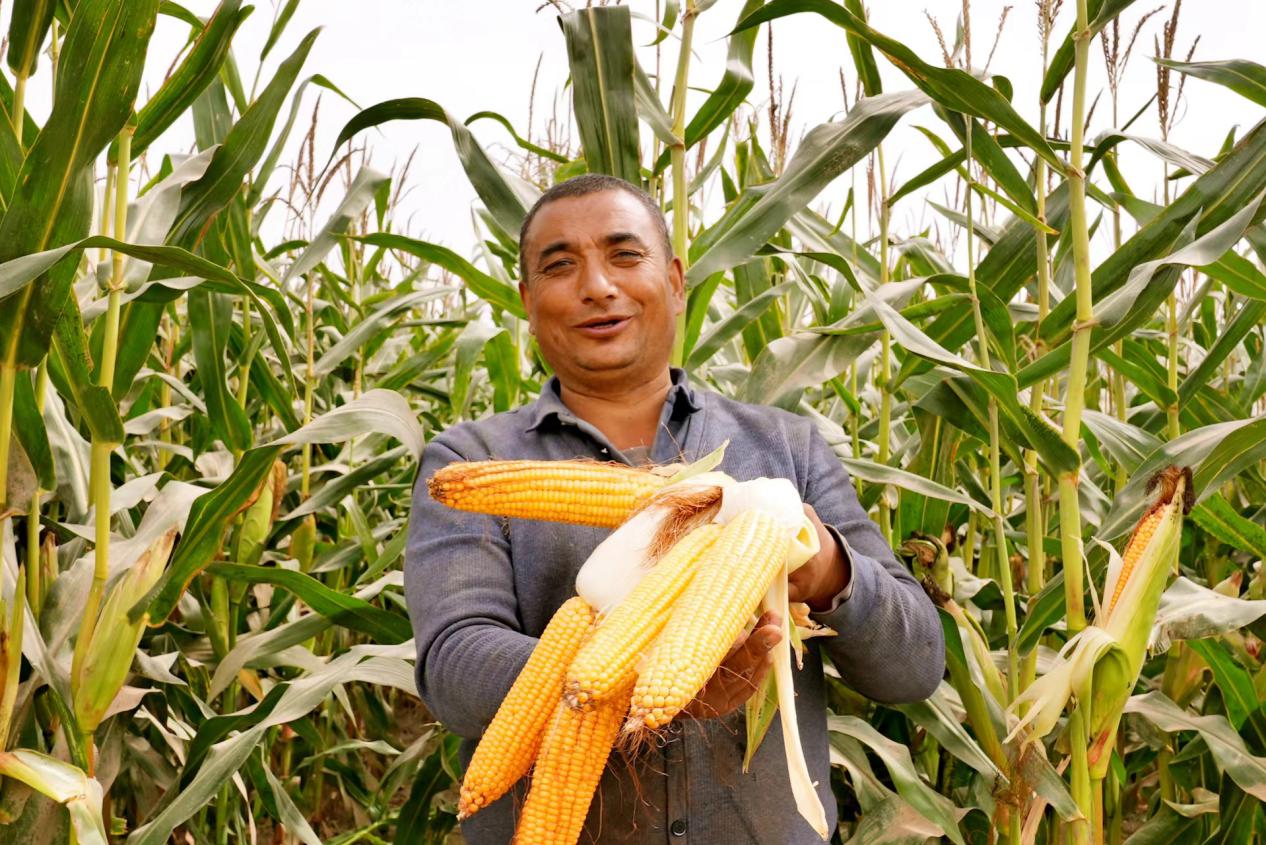 c6dc6cdd5e59cc5a3983e62a2f7050b