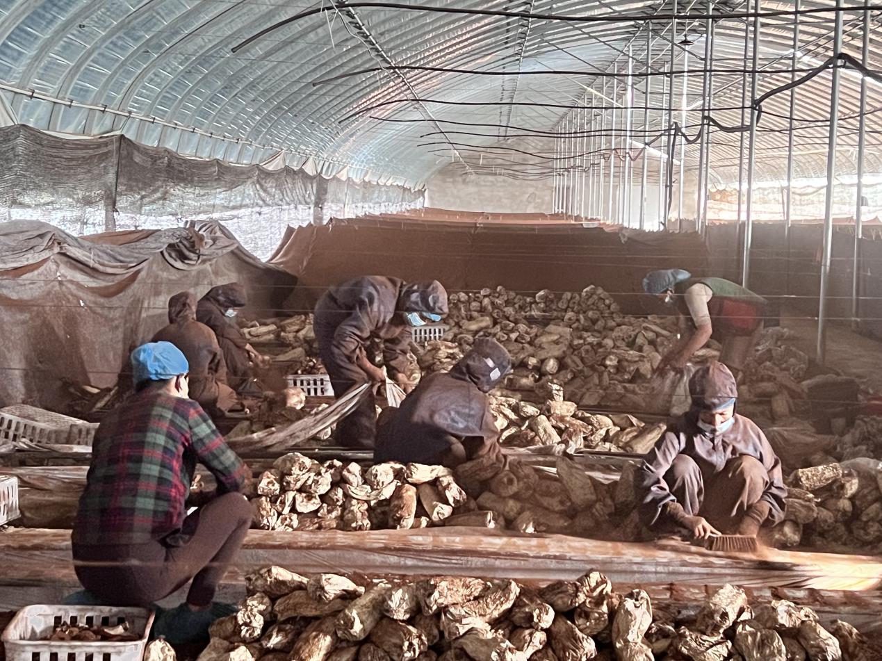 fb22a86751996d9d1d6e40c33d36f15