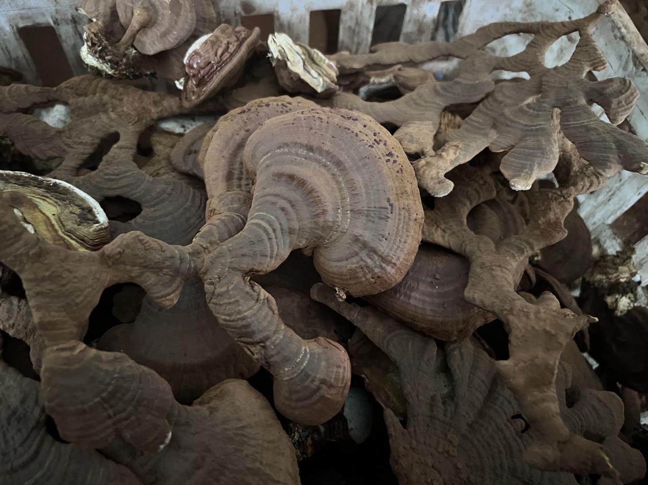 a7a25d34af662291f7f0b576e6331bc