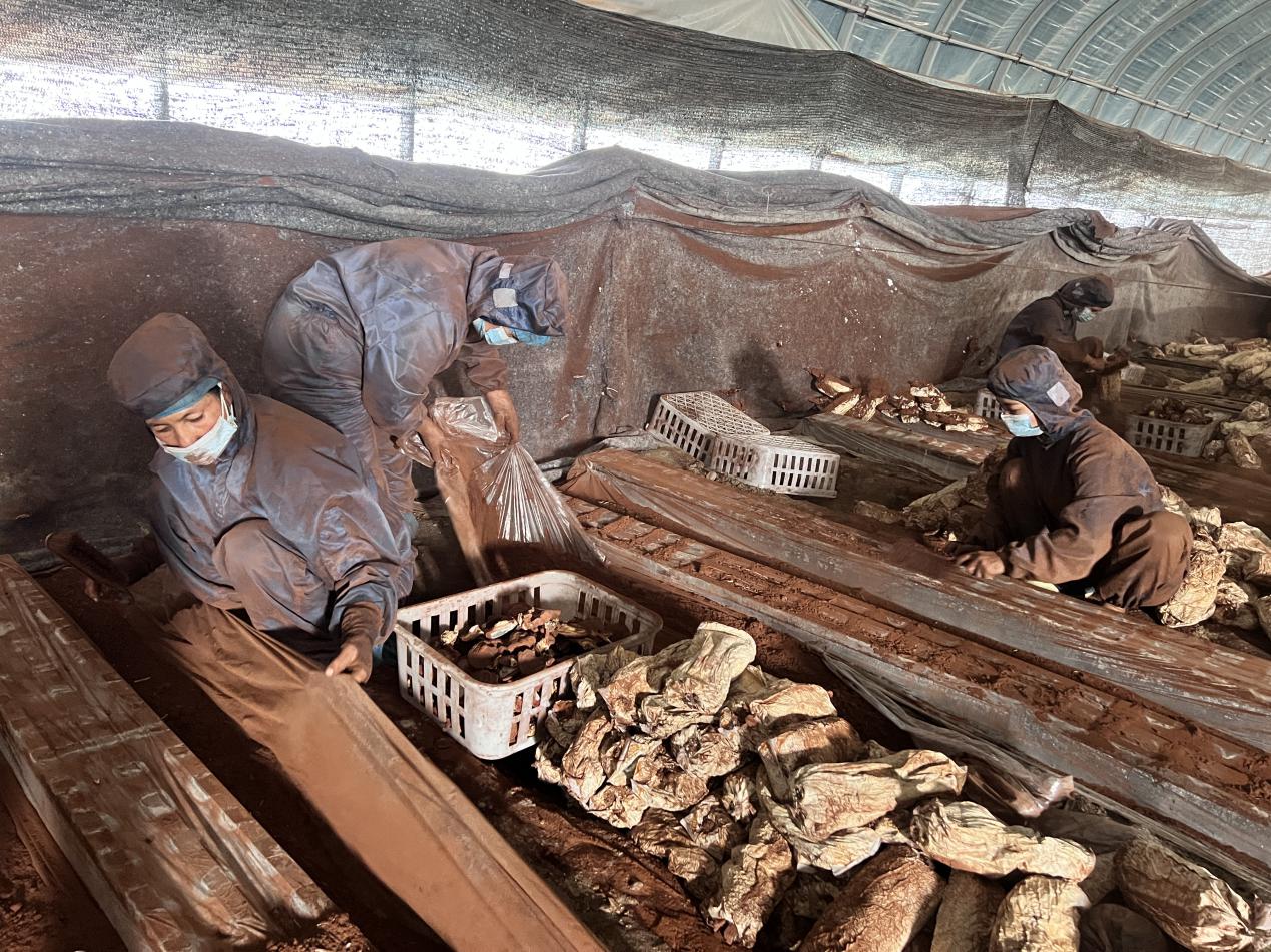 befca5f0886f8963cd170d6dc67f2ad