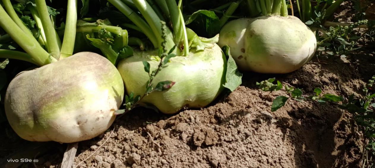 微信图片_20231008132844