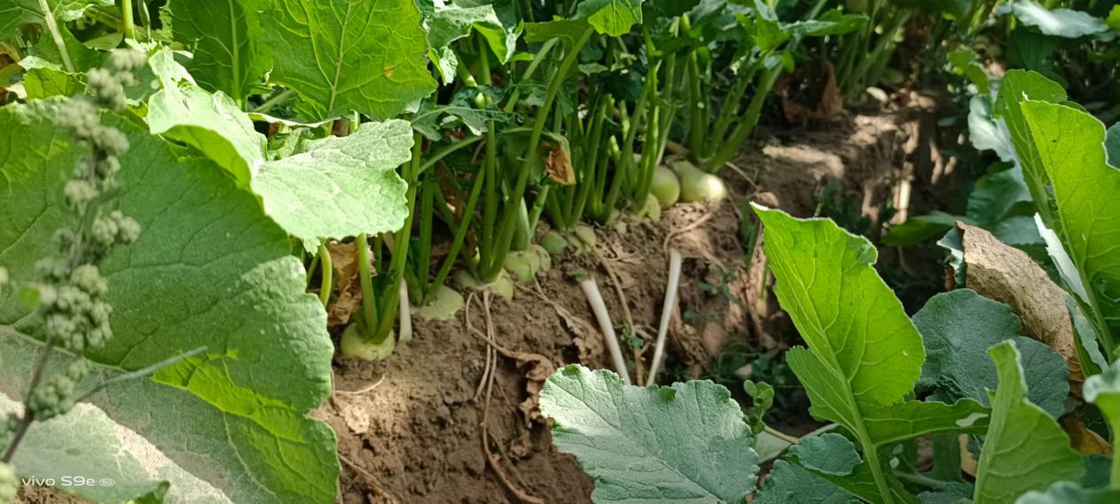 微信图片_20231008132849