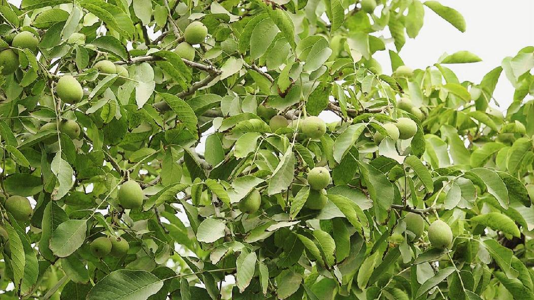 微信图片_20230904121819