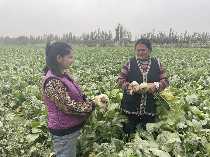 库宛妮萨&middot;艾则孜查看自家恰玛古长势