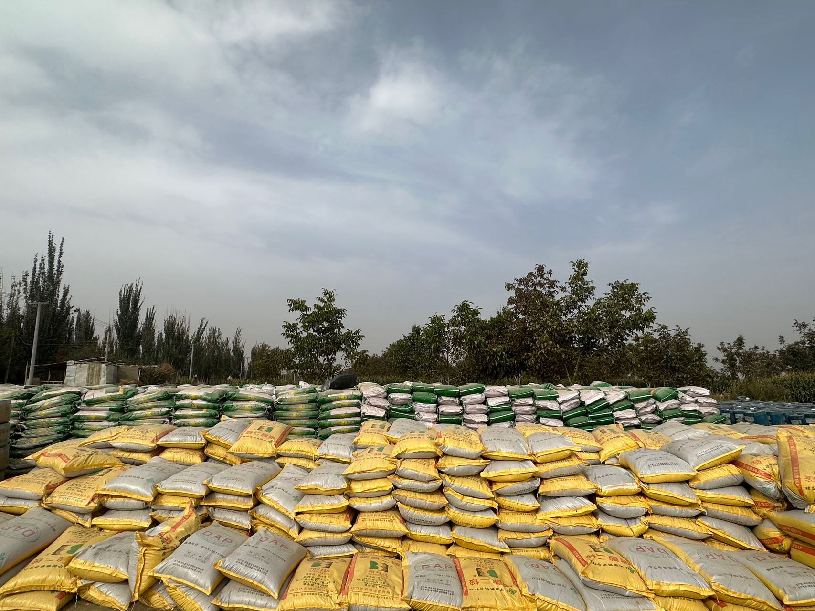 微信图片_2023101012041710