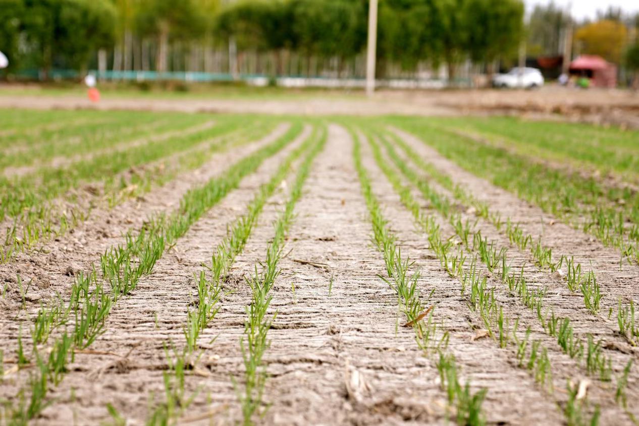 4a0b2eca5d80150d53234d640808a5f