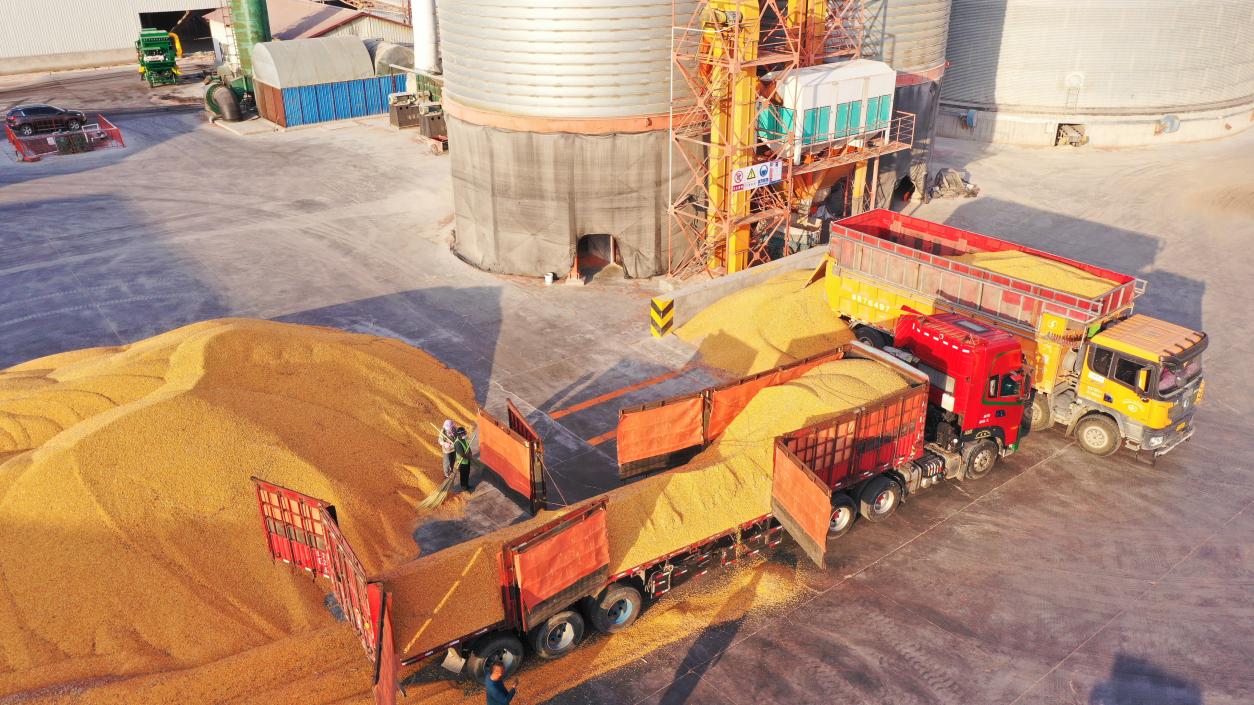 微信图片_20231011171702