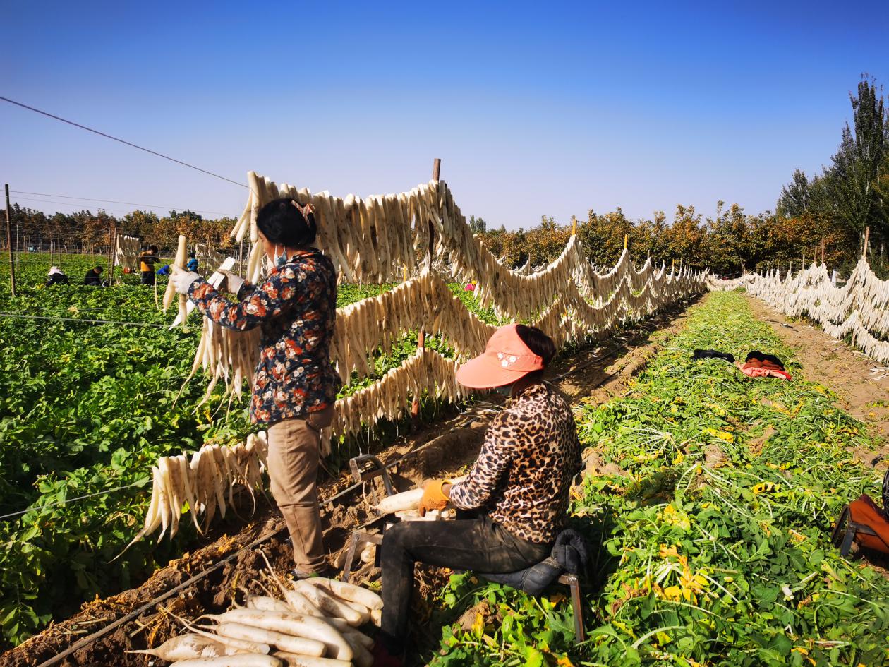 微信图片_20231013202049