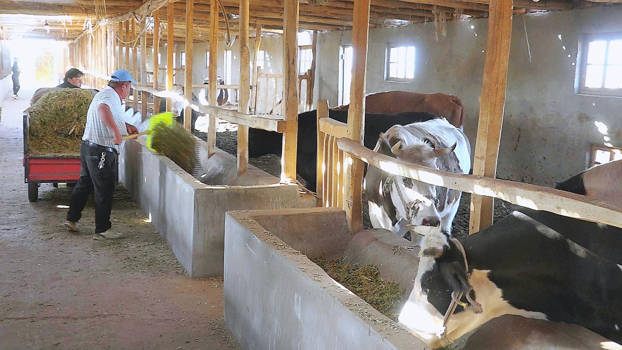 微信图片_20231012172455