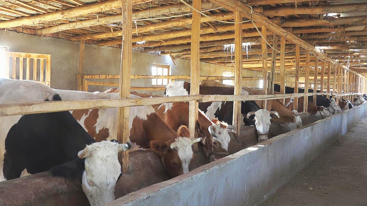 微信图片_20231012172449