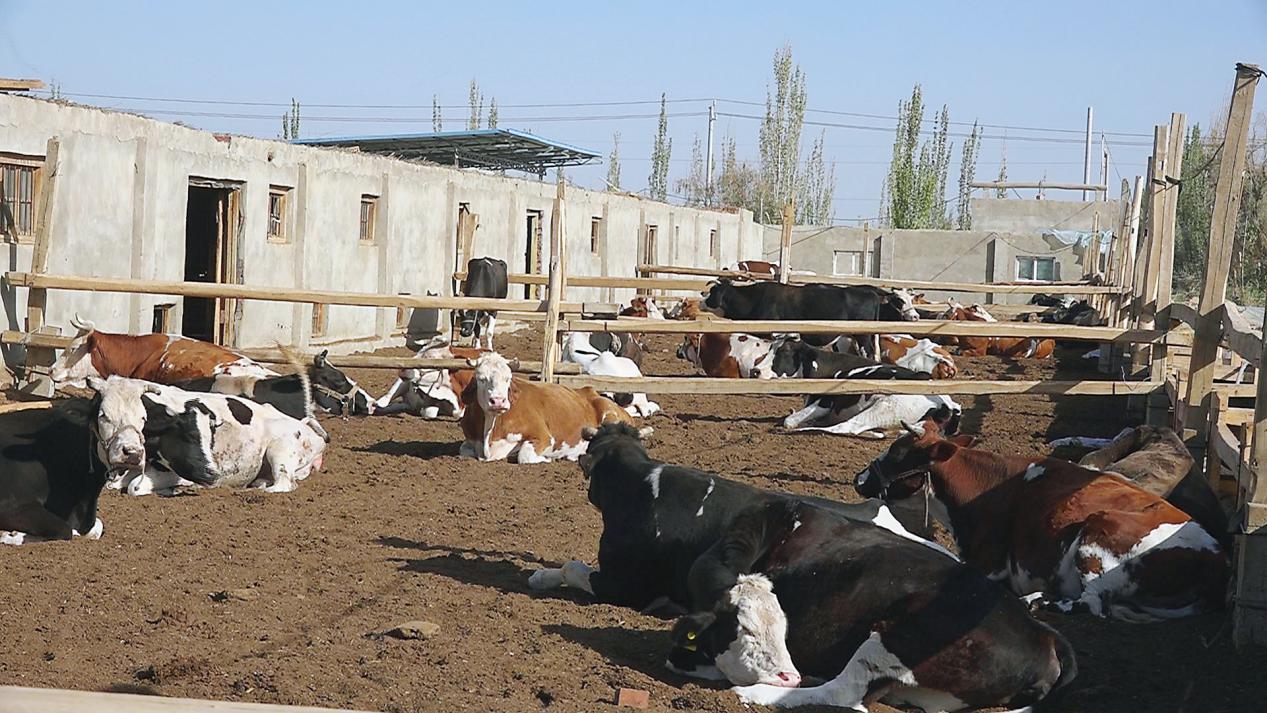 微信图片_20231012172500