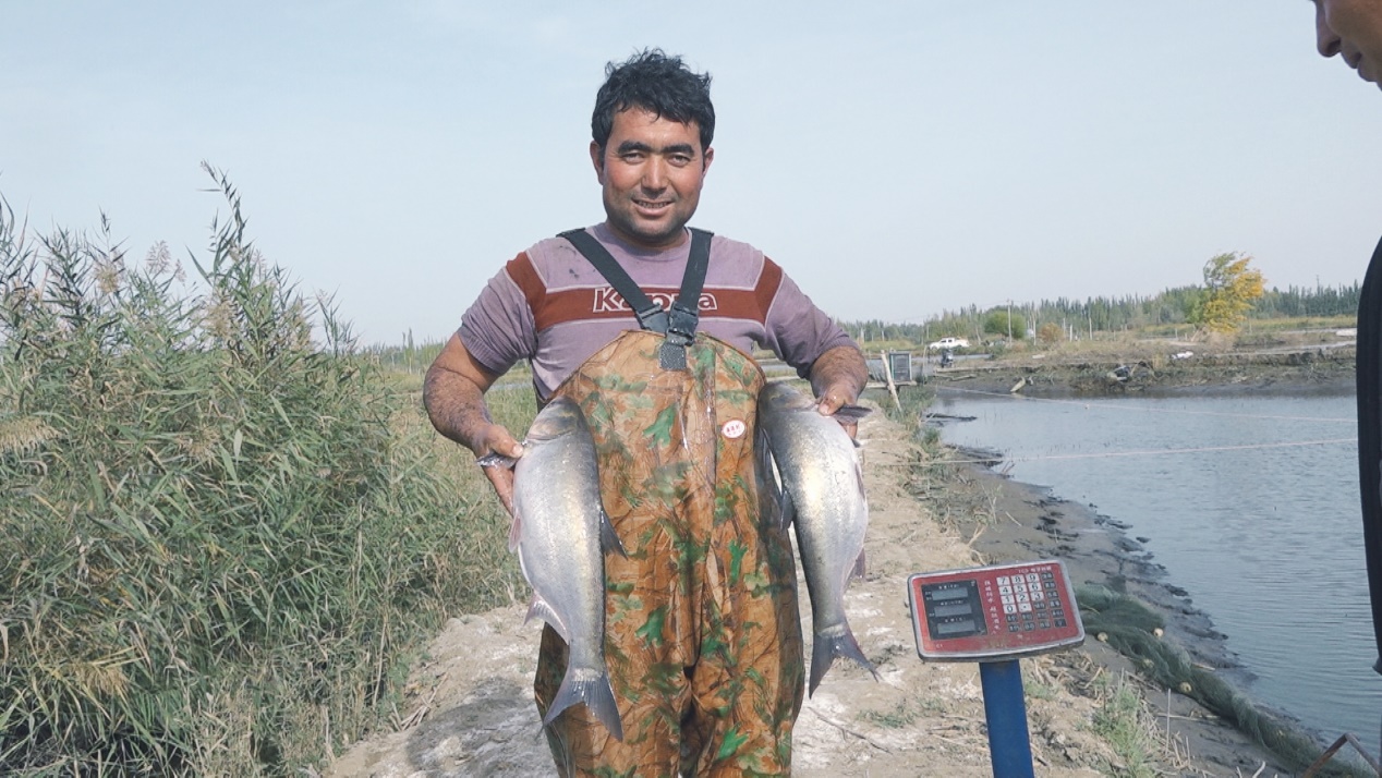 5673da6e4c3fc979f35785fa415e3d1