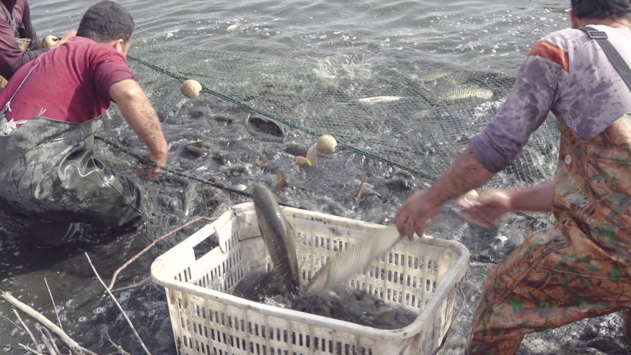 dced8b8389610a2ebda799f24e01937