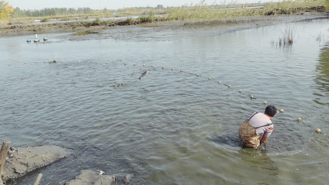 45de726f6646582e9b70f038f9b7111