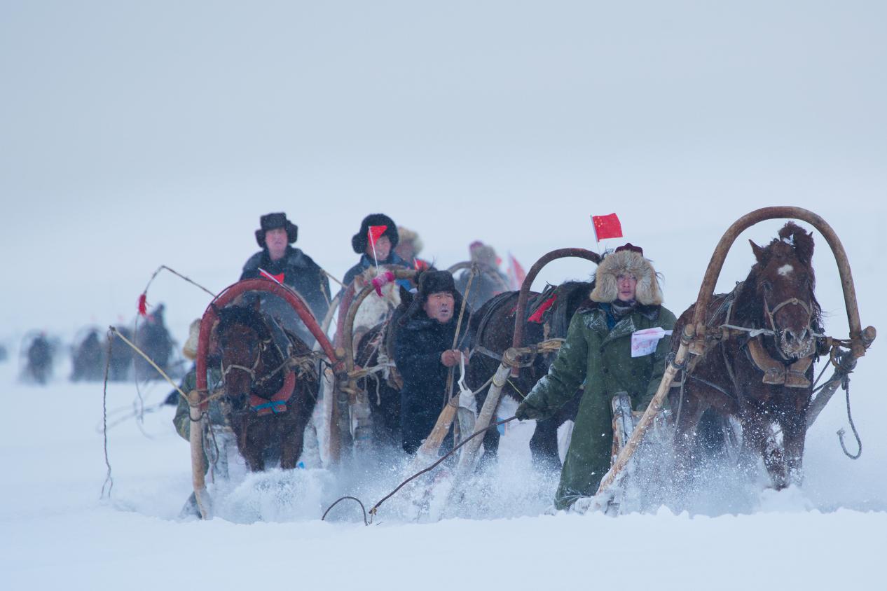 马拉爬犁比赛2(赛力克·木胡什摄影)