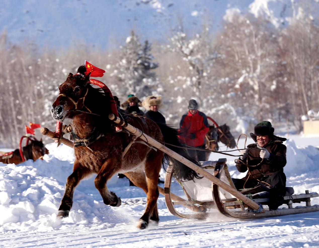马拉爬犁比赛(木黑提.哈木巴尔摄影)