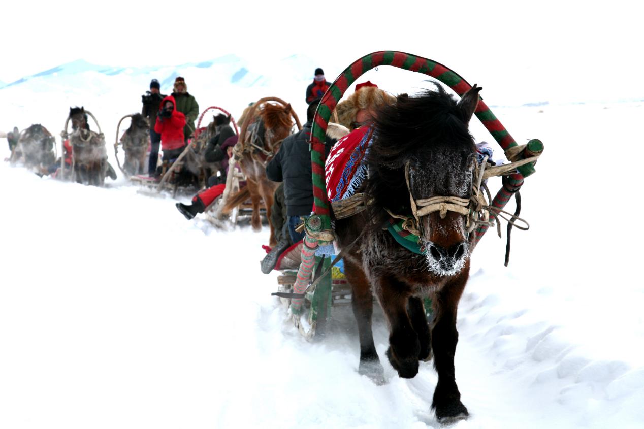 马拉爬犁体验3(富蕴宣传部供图)