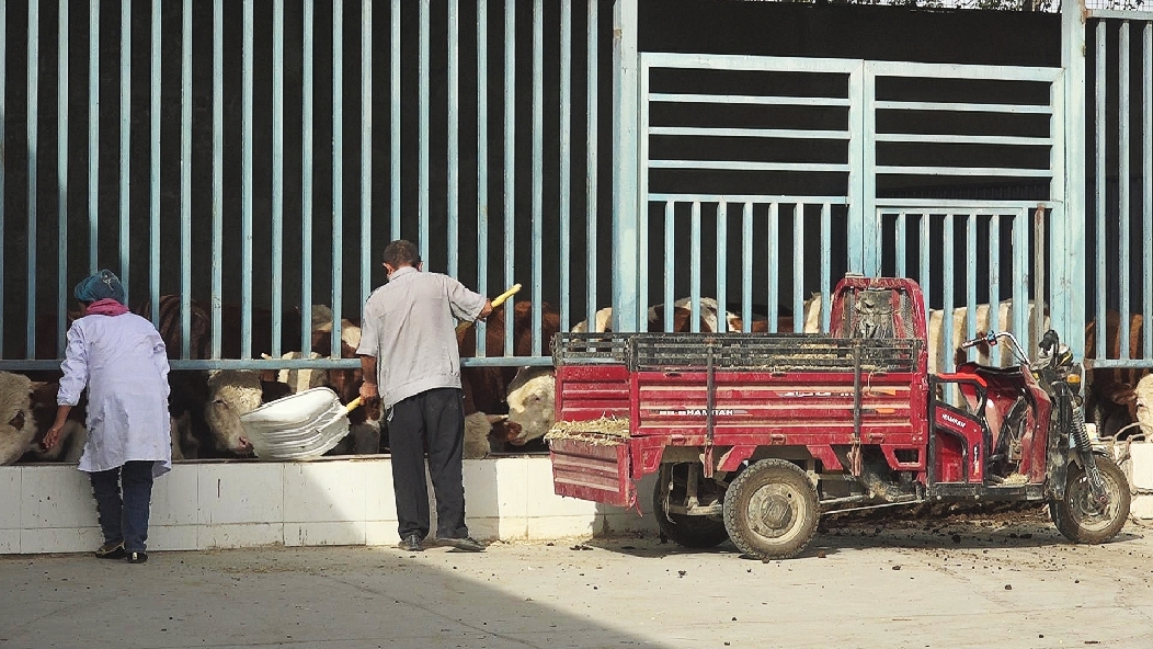 微信图片_20231017113512