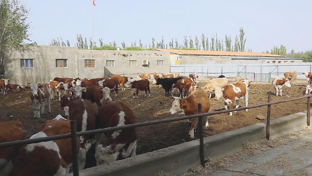 微信图片_20231017113508