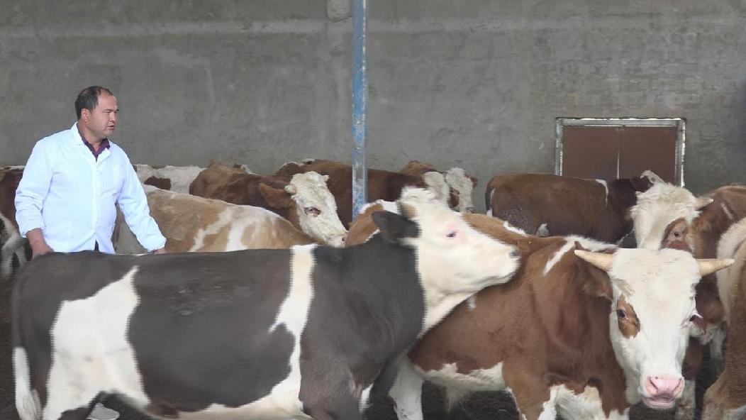 微信图片_20231017113520