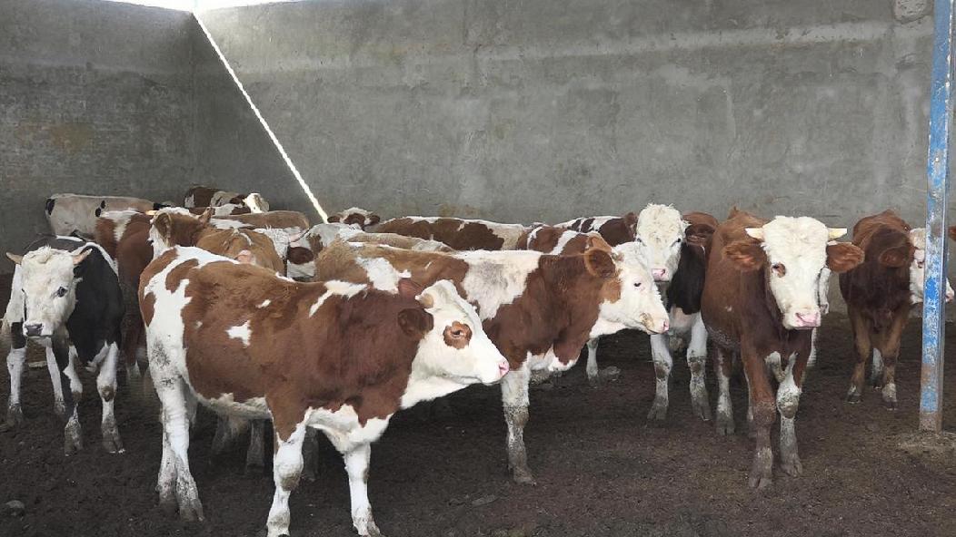 微信图片_20231017113514