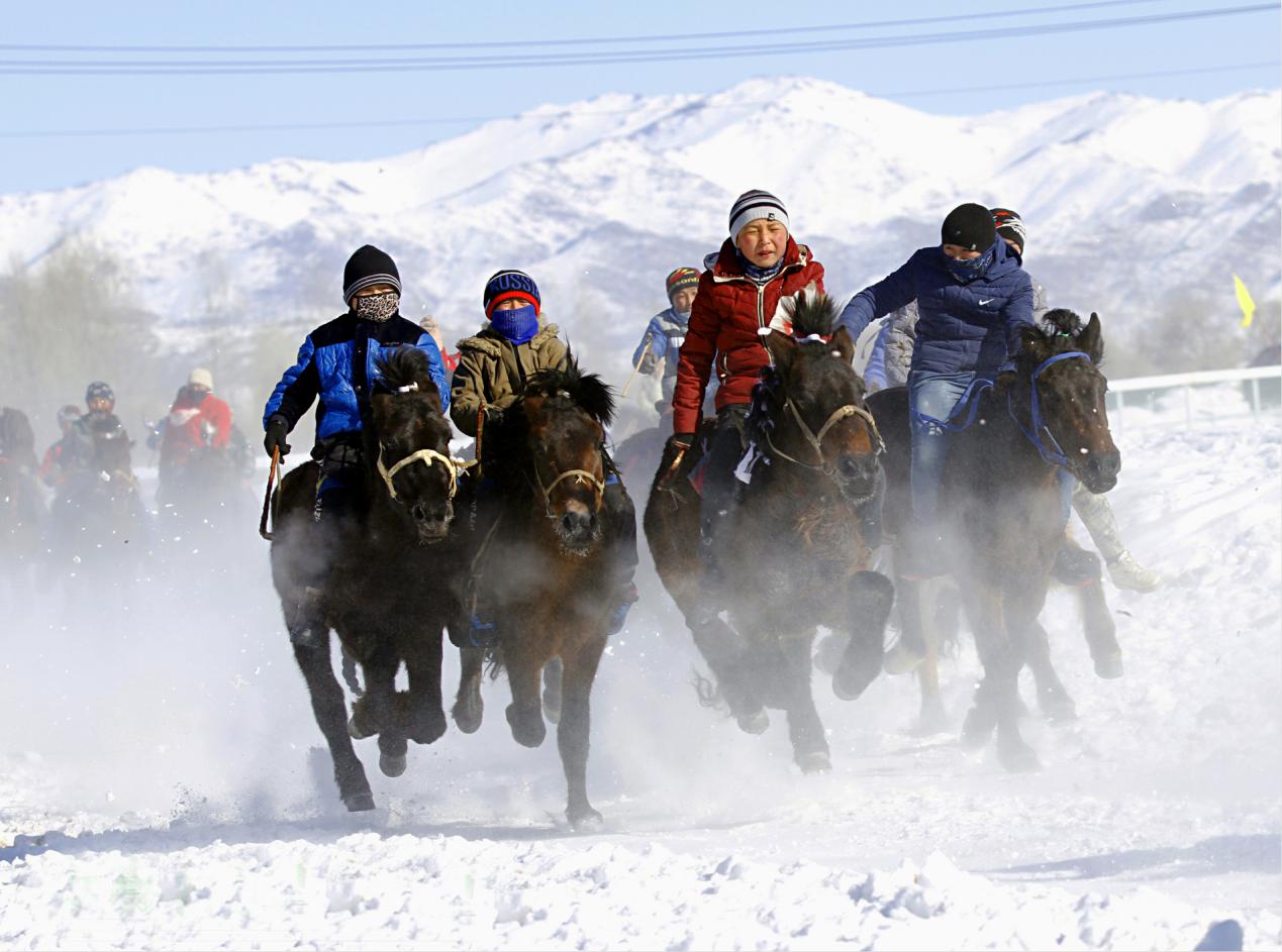 雪地赛马（阿尔斯&middot;翁阿里摄影）