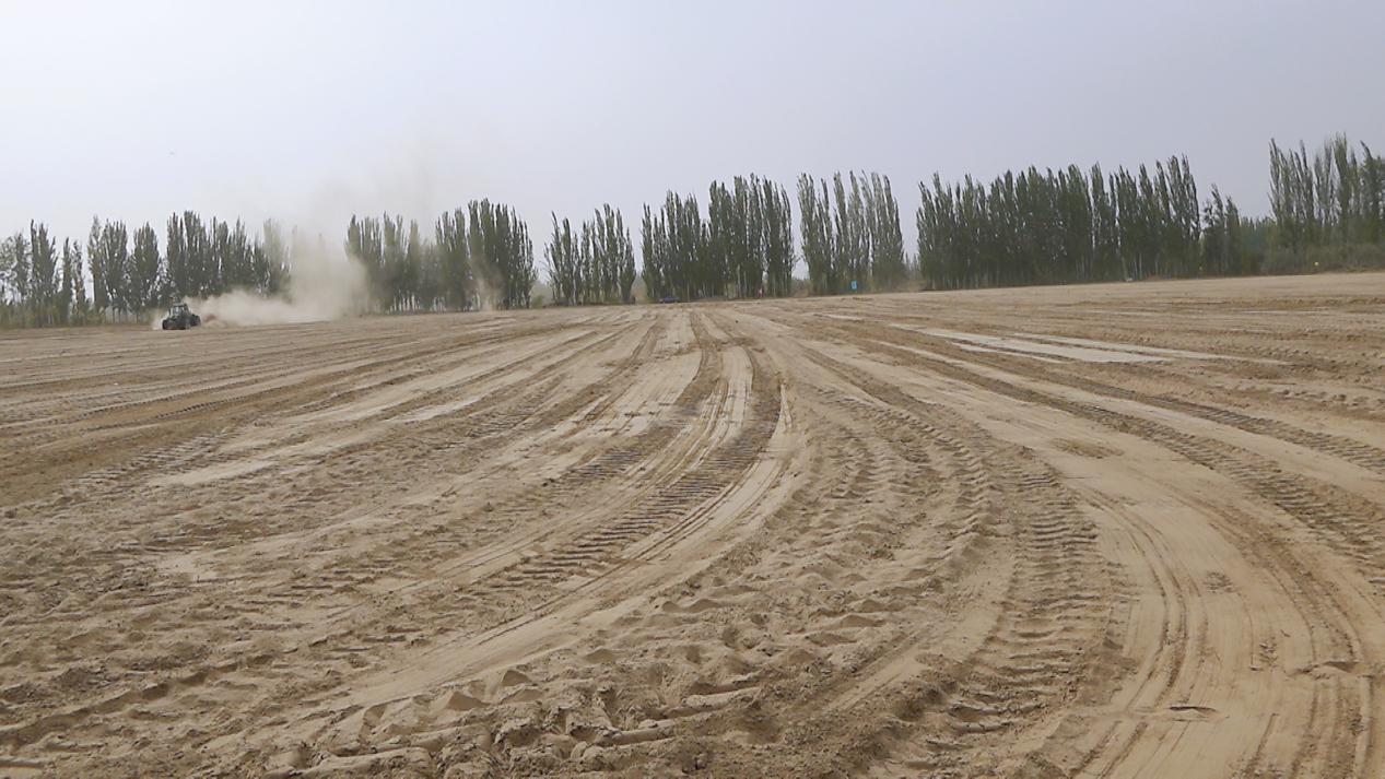 f20c0768040d974447e4dd2a88ed1a28