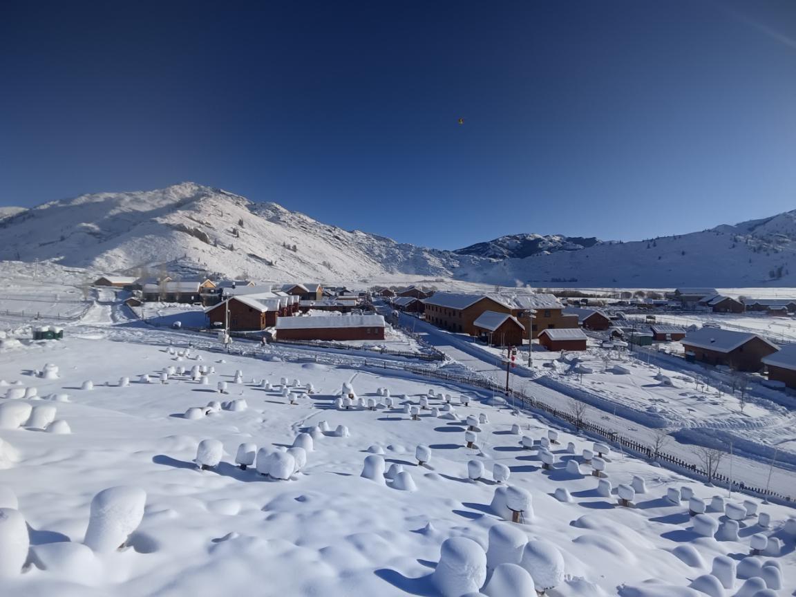 雪蘑菇2(傅轩摄影)