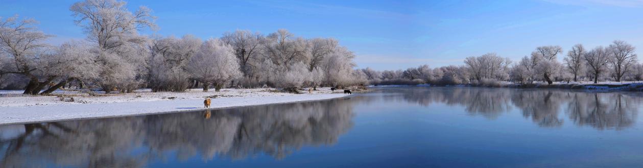 雾凇暖阳1(王景华摄影)