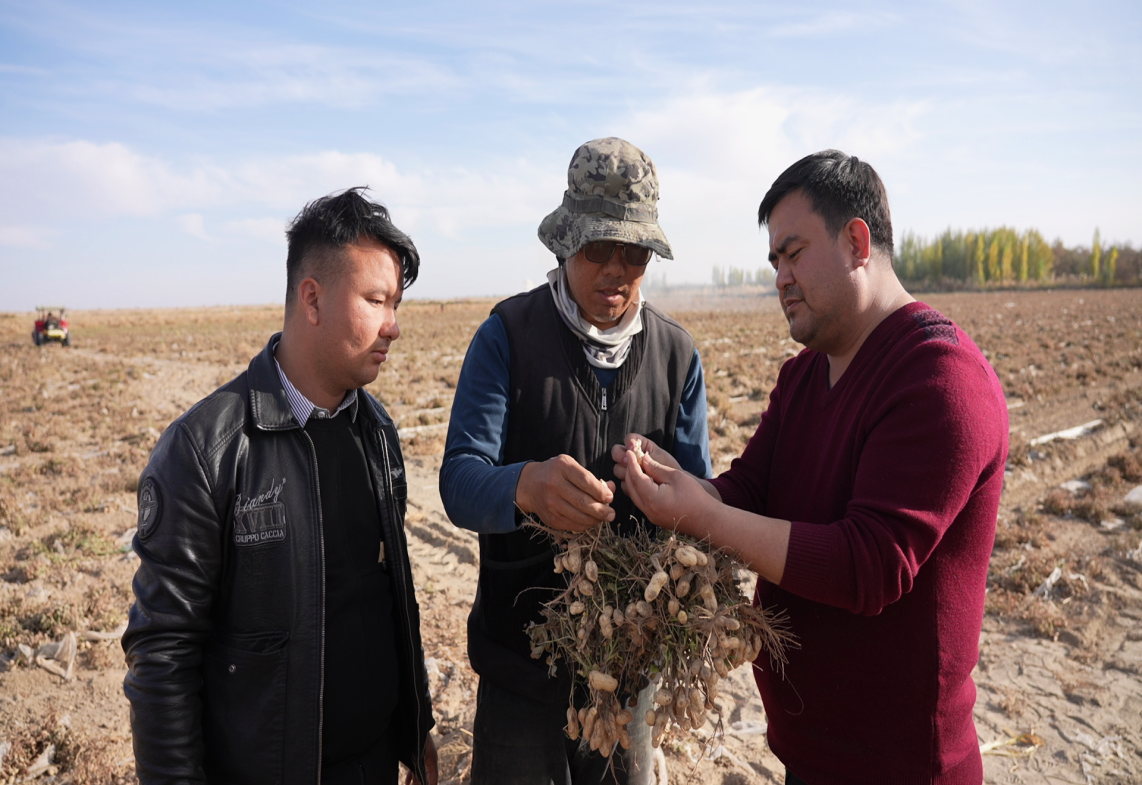 1a9df59df10f6b94cc97c5e0f754ae5