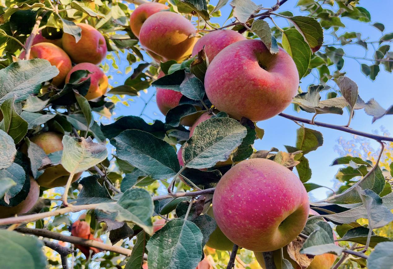 a14e101efaa57df35f5539e887bdccd