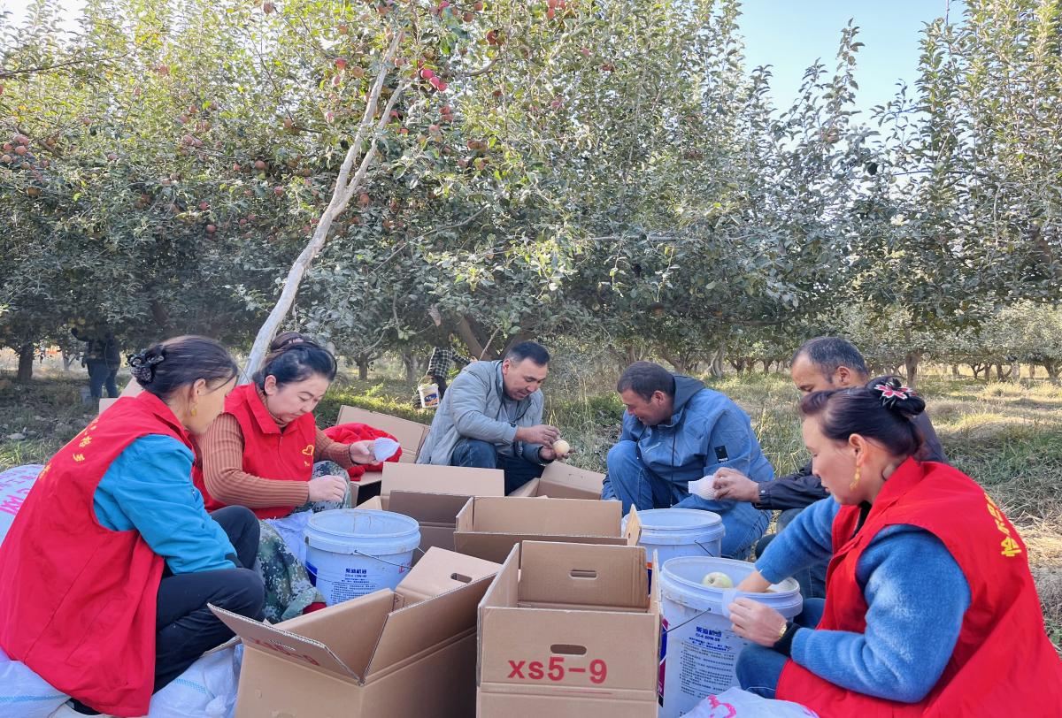 998473a6be3a8b4d5cb57ba23f3388c