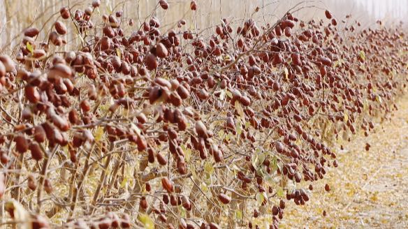 bb3e3f5497c6671c045bd58566265ee