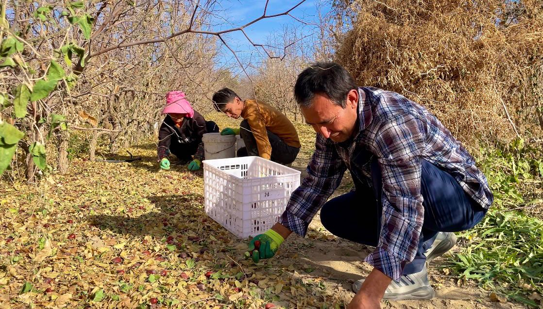 86cfb64ff72a19d2b47859232cdb876