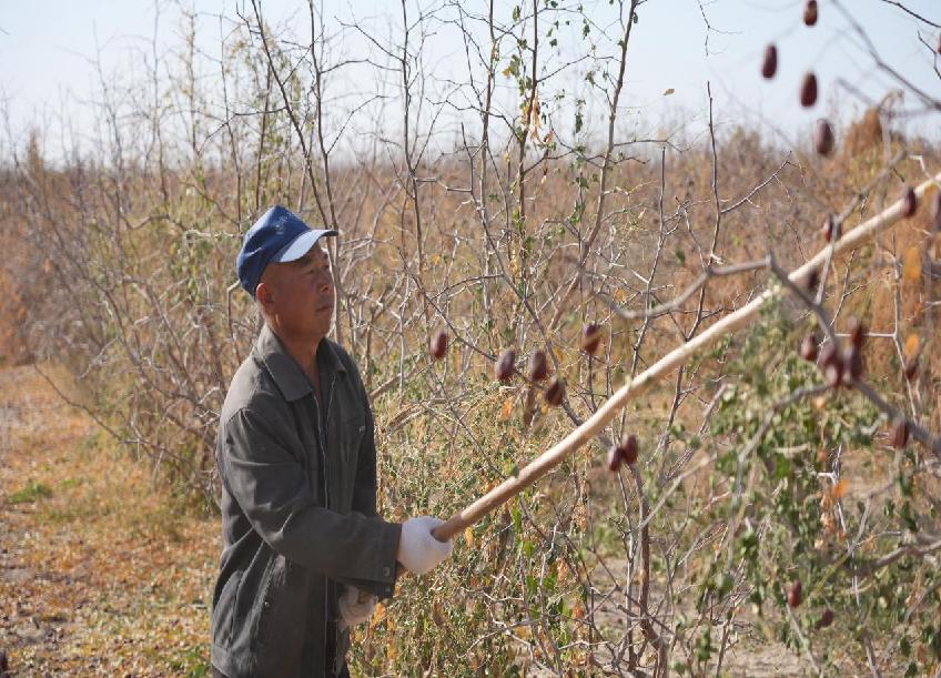 1b326085fcb2b3c803d72950df83115