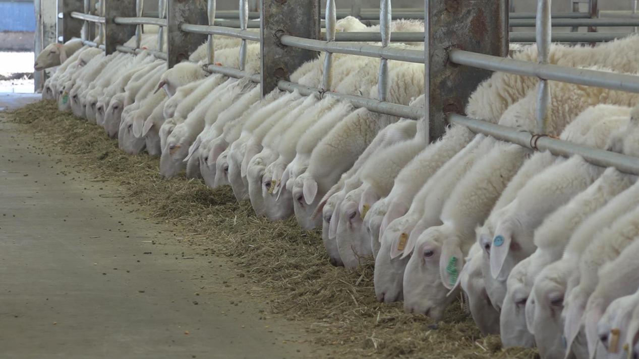 暴风截图202310305025478