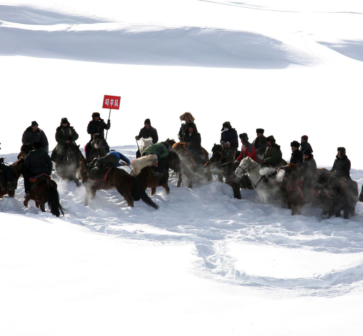 雪地叼羊（胡金良）