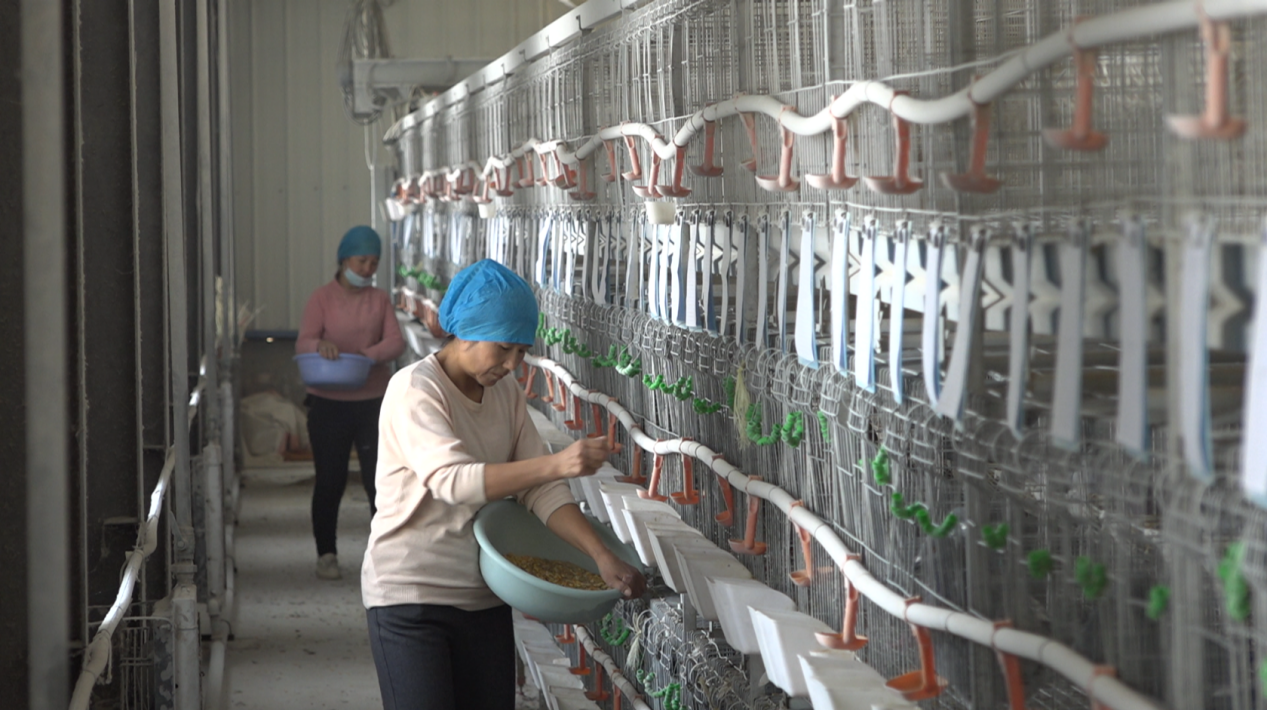 屏幕截图 2023-10-27 152022