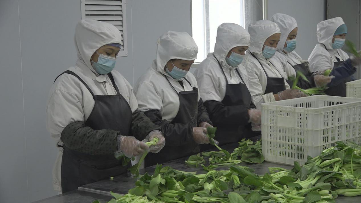 暴风截图20231133761215