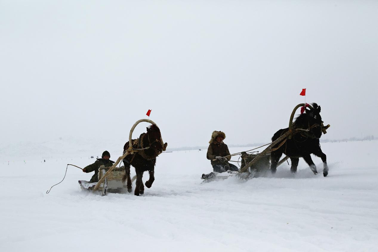 《奔腾》叶克本.哈森江 652622196812040018 15160877728