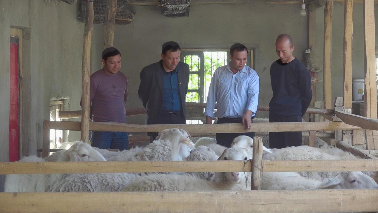 微信图片_20231031121957