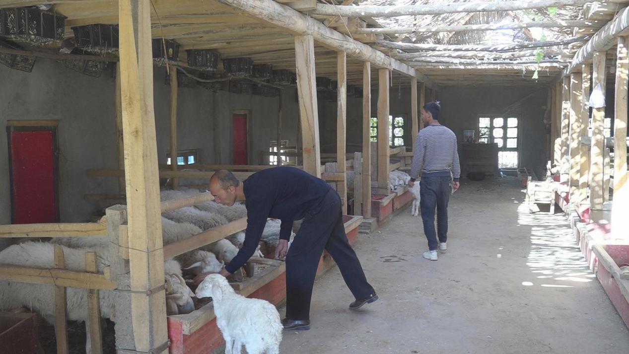 微信图片_20231031121956