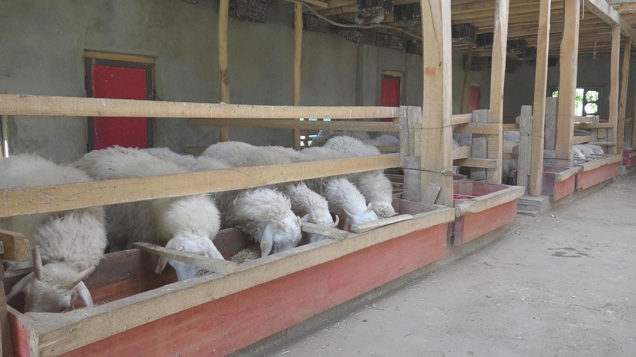 微信图片_20231031121954