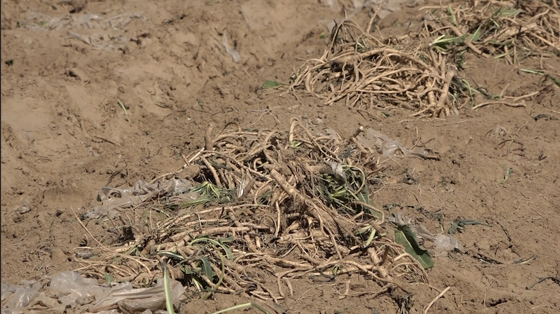 W020231101621827584023