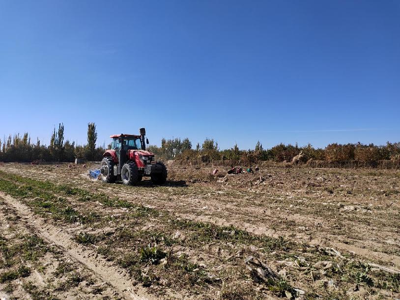 W020231101621825932550