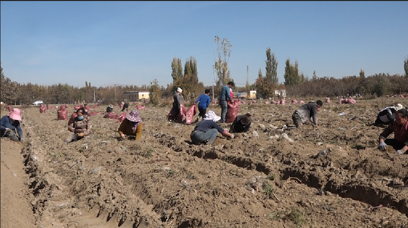 W020231101621827818062