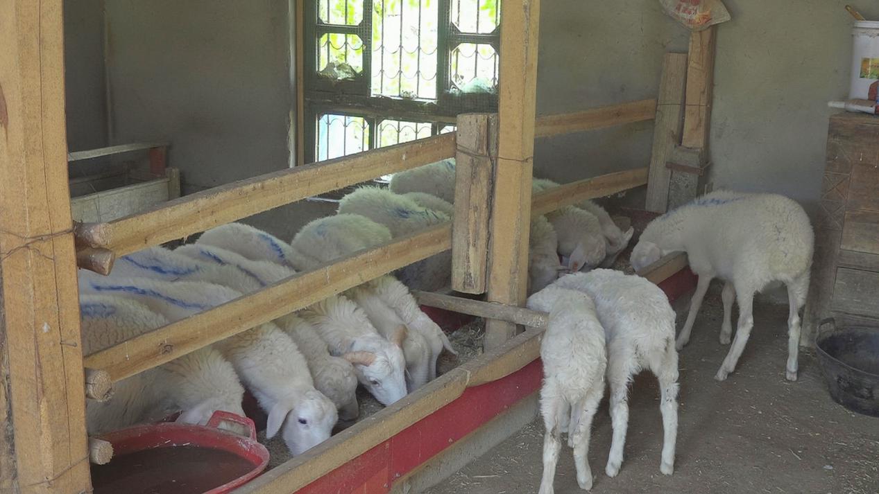 微信图片_20231031121952